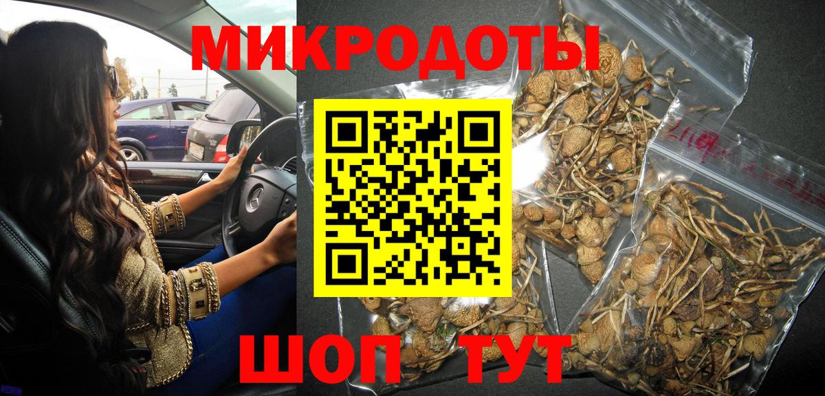 Галлюциногенные грибы Psilocybine cubensis  Вход с VPN  Псилоцибиновые грибы прущие грибы  Ханты-Мансийск 